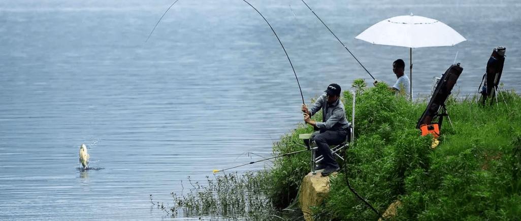 雨天野外如何钓鱼技巧，雨天钓鱼怎么钓